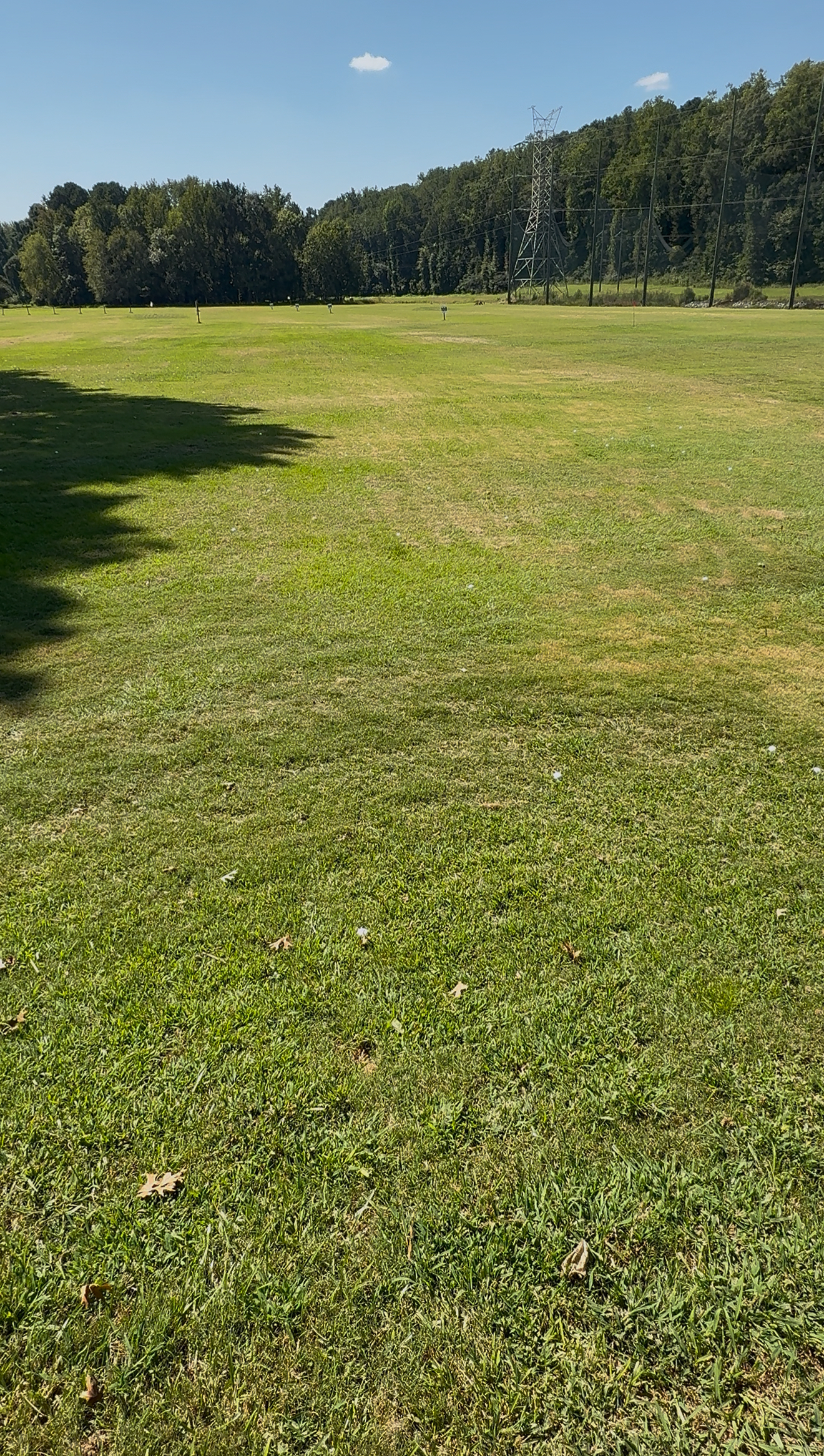 Grass Hitting Bay